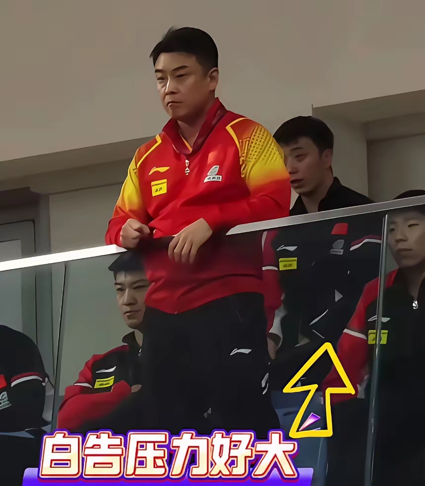 关于德国乒乓球队碾压中国乒乓球队,王皓打破历史纪录的信息 关于德国乒乓球队碾压中国乒乓球队,王皓打破历史纪录的信息