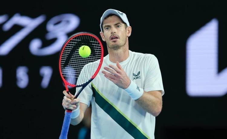 日本网球队血洗法国网球队，穆雷绝境逆转的简单介绍